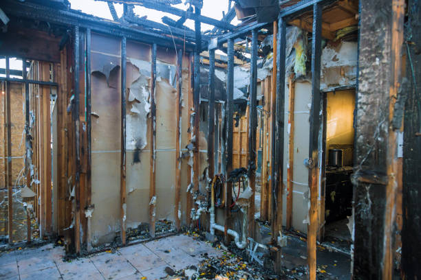 Professional Fire Damage Removal technician working in Elida, OH